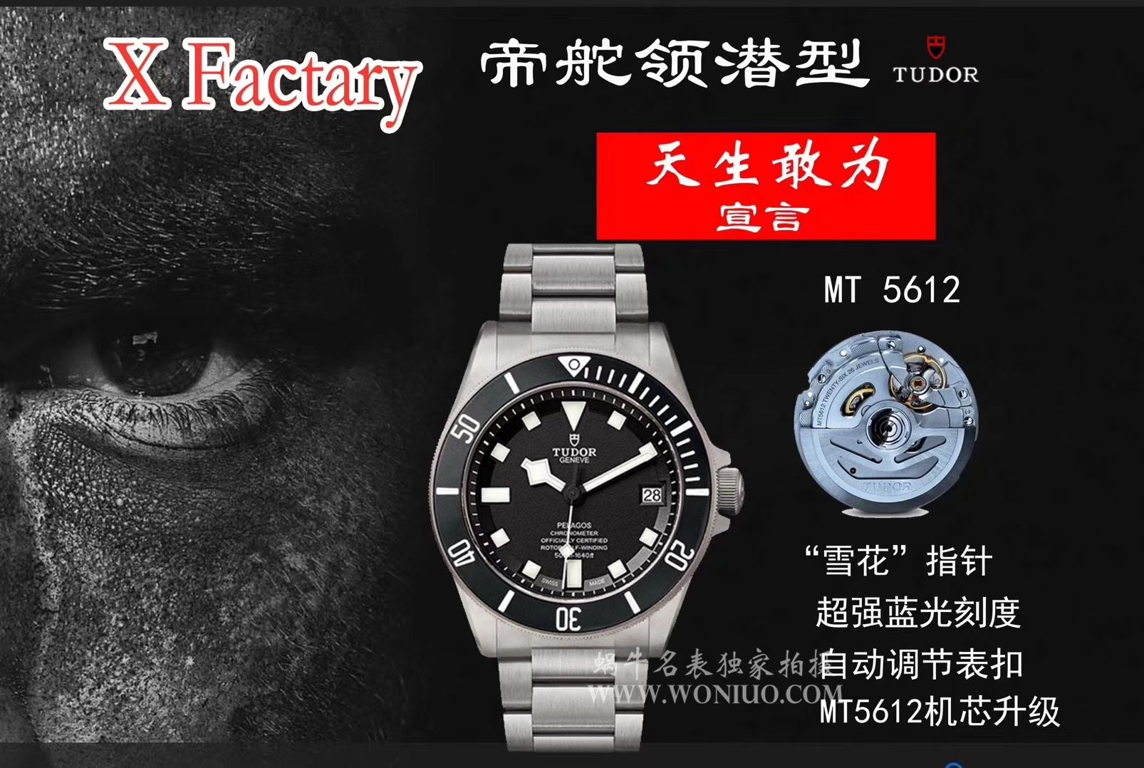 帝舵PELAGOS系列25500TN 钛金属表带腕表【XF一比一复刻高仿黑钛土豆黑面战斧V3版本】 / DT007AMM