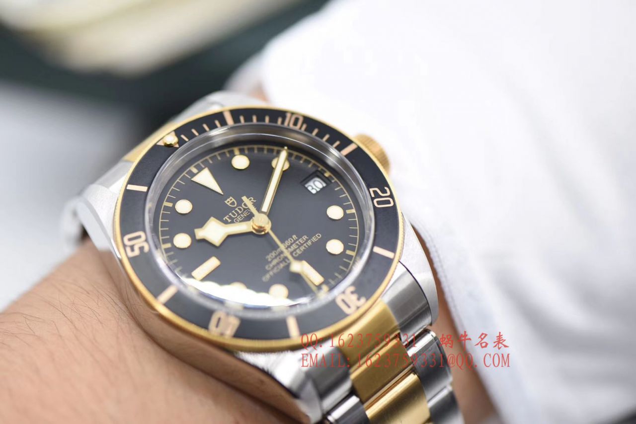 【ZF厂帝舵复刻高仿手表】帝舵碧湾系列M79733N-0004腕表 / DT039