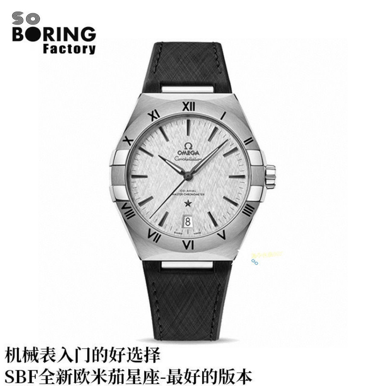 VS/SBF厂一比一顶级复刻高仿欧米茄第五代星座沙士灰131.33.41.21.06.001手表 / M779