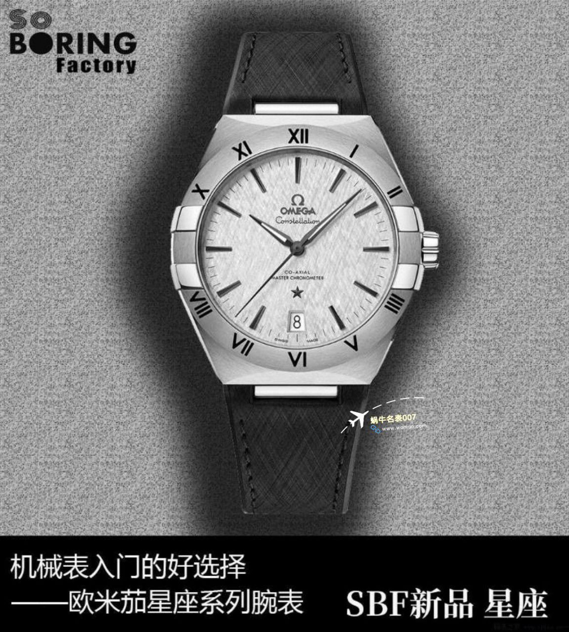 VS/SBF厂一比一顶级复刻高仿欧米茄第五代星座沙士灰131.33.41.21.06.001手表 / M779