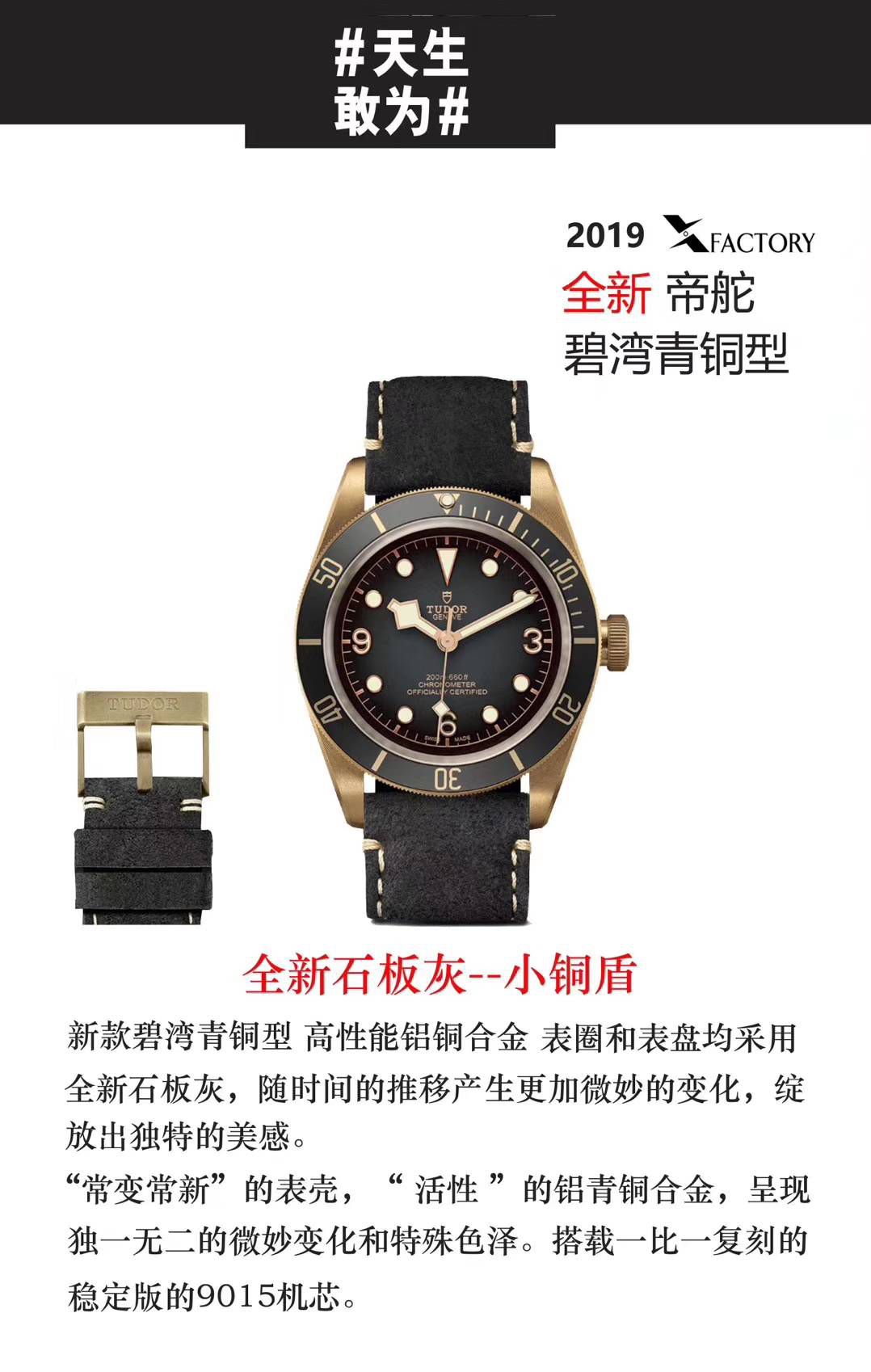 帝舵碧湾系列M79250BA-0001腕表一比一超A高精仿手表【XF新品首发：贝克汉姆同款－最新帝驼碧湾青铜型－小铜盾】 / DT033