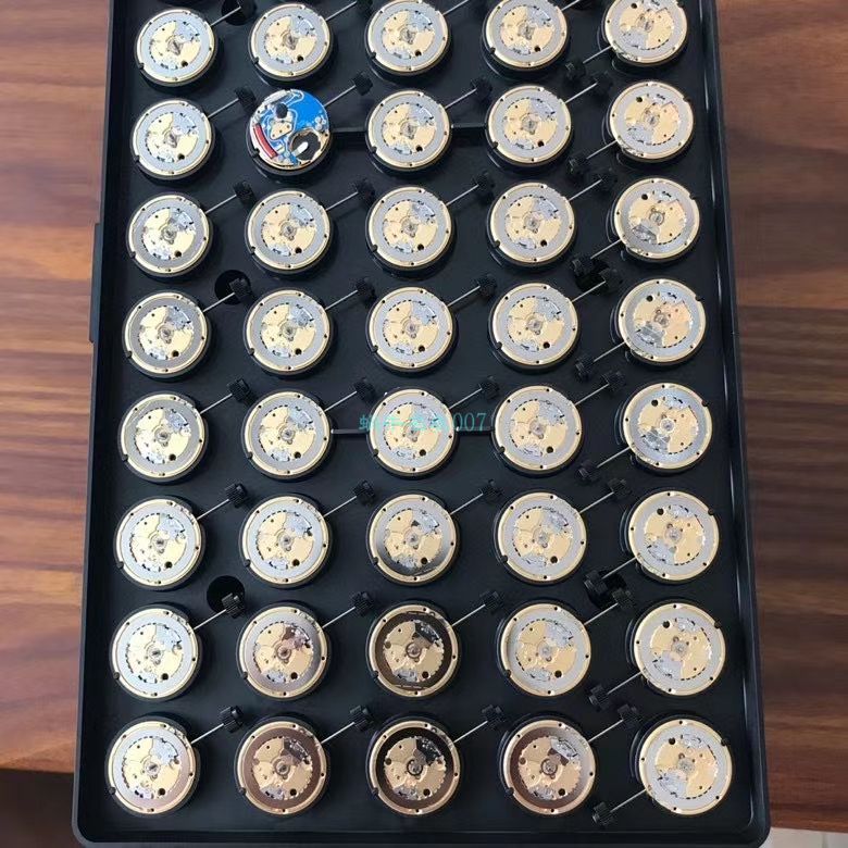 渠道真钻原单宝格丽LVCEA系列102196 LU28WSS/12女士腕表 / BG033