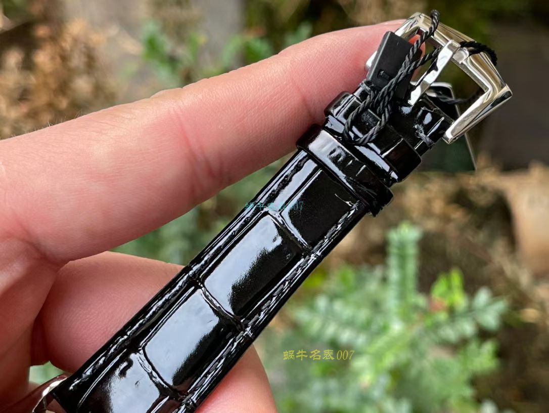 FL珐琅厂百达翡丽5077P微绘珐琅系列复刻高仿腕表「巴黎圣母院的石制怪兽」 / BD368