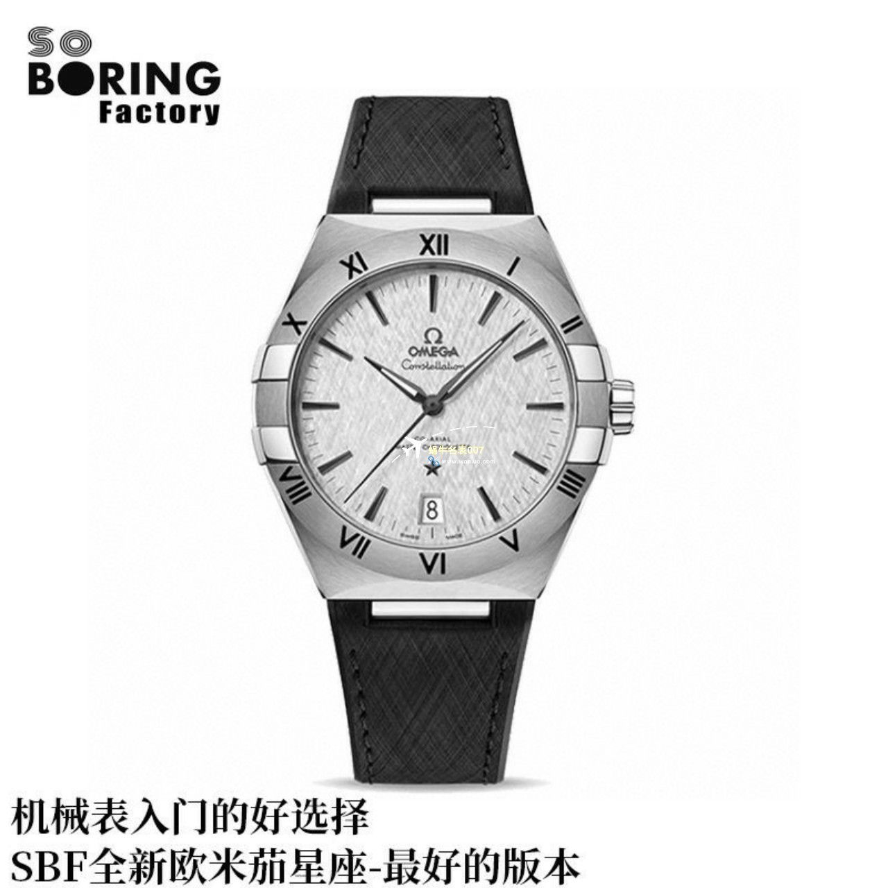 VS/SBF厂一比一顶级复刻高仿欧米茄第五代星座沙士灰131.33.41.21.06.001手表 / M779