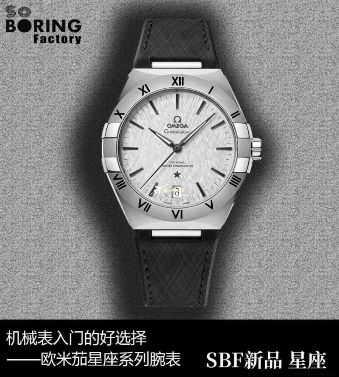 VS/SBF厂一比一顶级复刻高仿欧米茄第五代星座沙士灰131.33.41.21.06.001手表 / M779