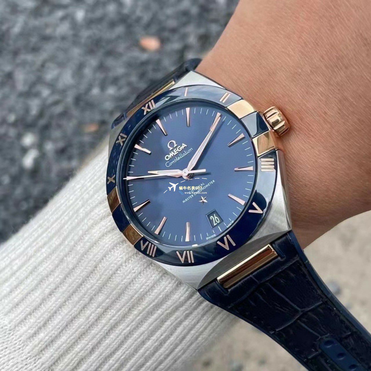 VS/SBF厂一比一顶级复刻高仿欧米茄第五代星座沙士灰131.33.41.21.06.001手表 / M779