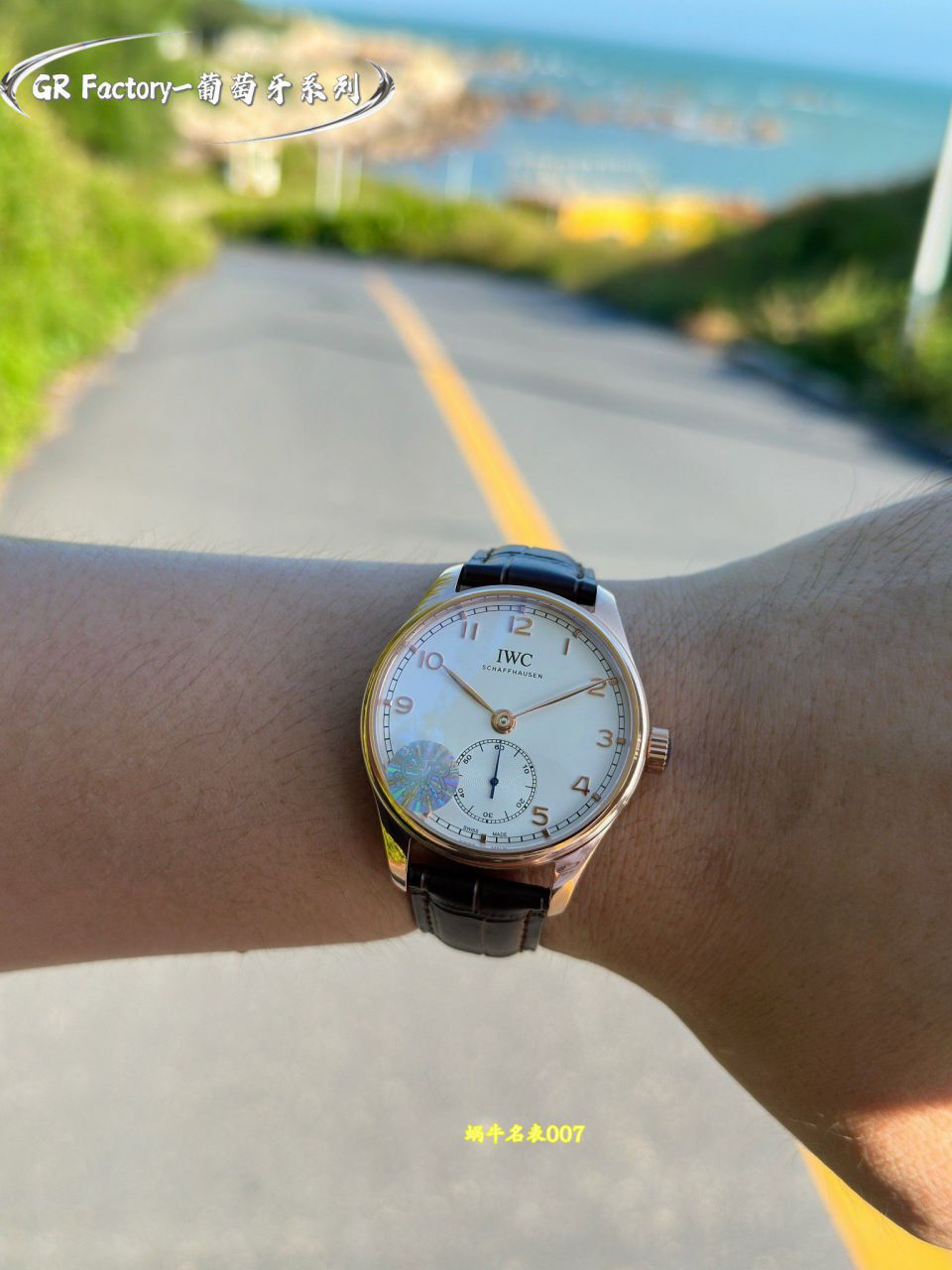 GR厂IWC万国表葡萄牙系列IW358404腕表 / IW676