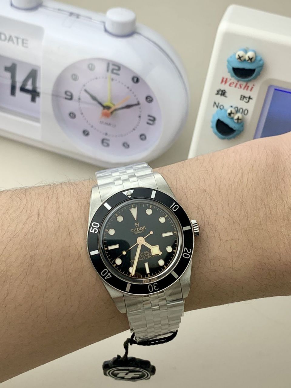 ZF帝舵碧湾系列M79000-0001,M79000N-0001腕表 /  