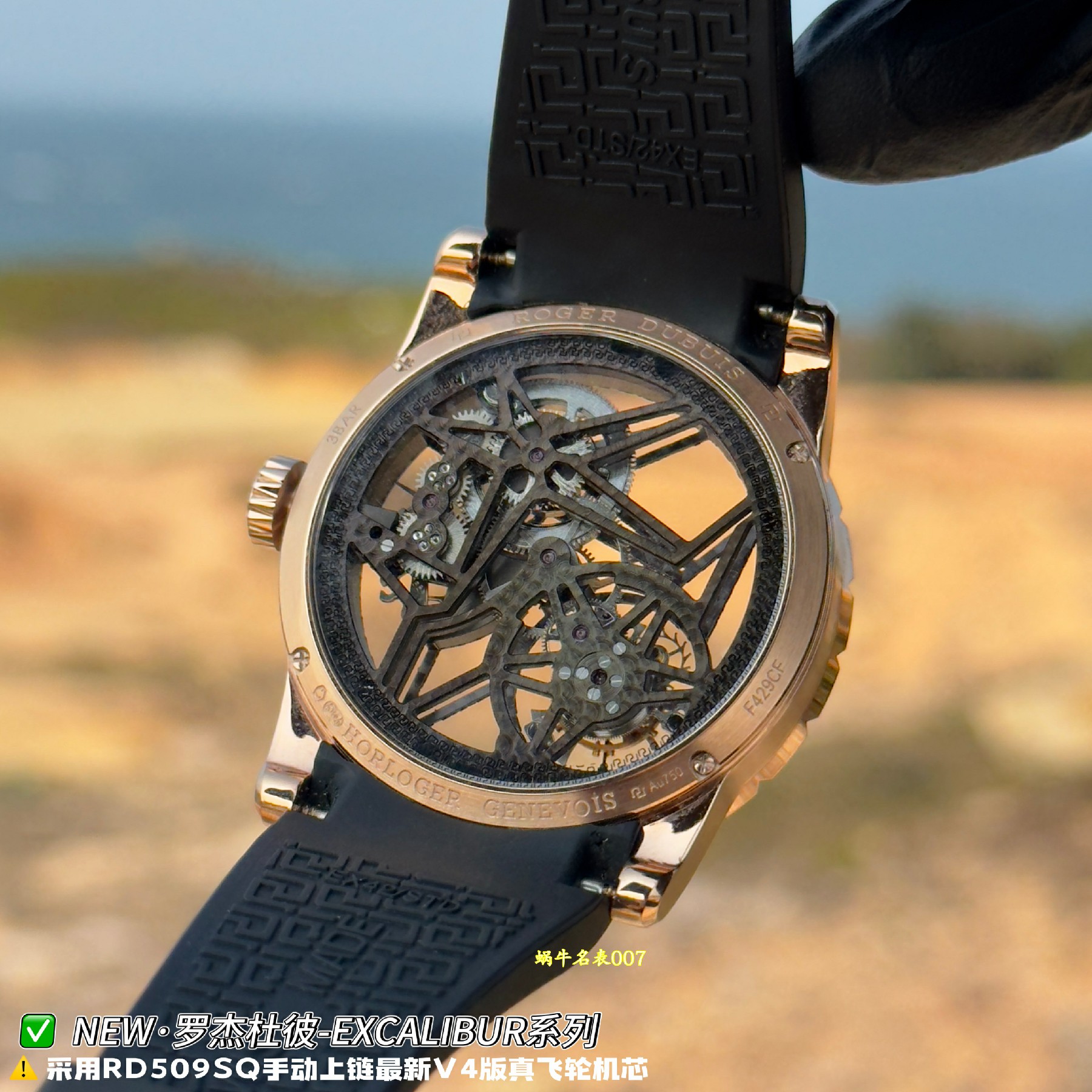NEW罗杰杜彼王者顶级复刻手表RDDBEX0940腕表 /  