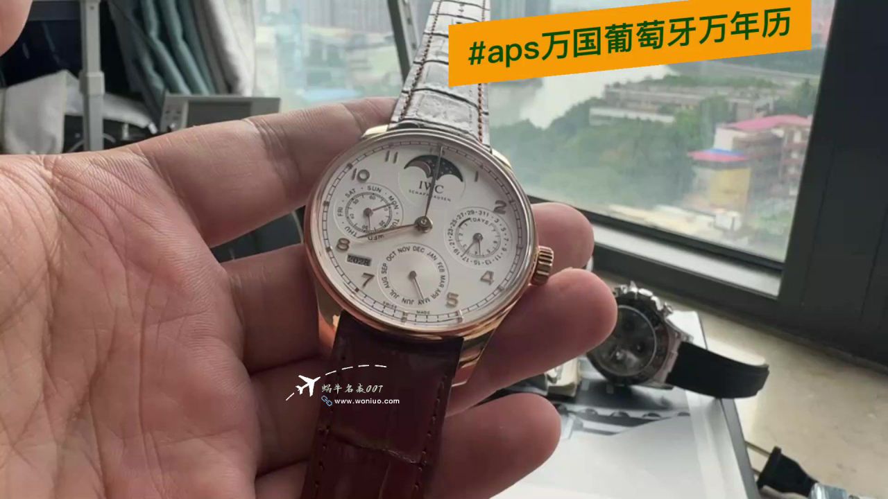 IWC APS Factory  Perpetual calendar TOP clone watch Portugal  series IW502306 watches  / WG629