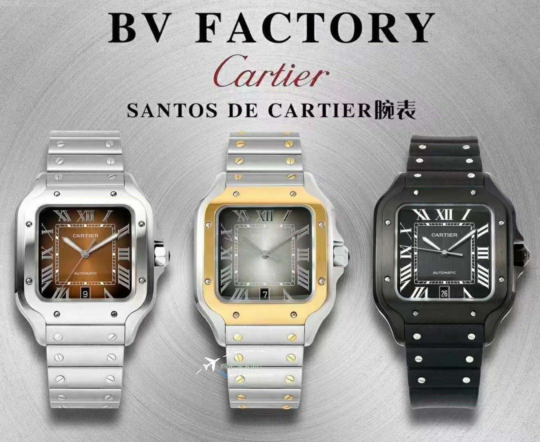 BV Factory Cartier Santos series   clone watchWSSA0062 watches  / K378