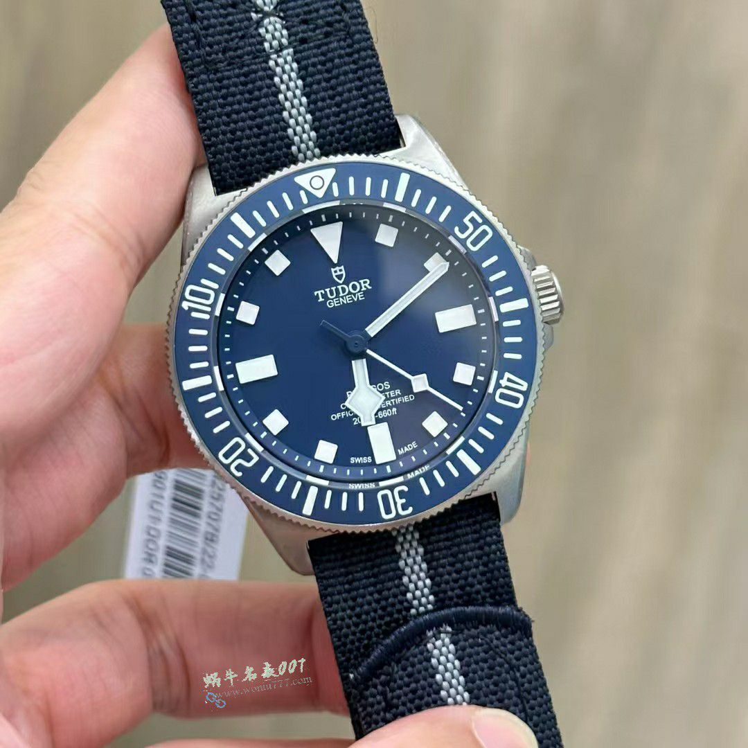 M+ Tudor Pelagos TOP clone watch m25807KN-0001 watches  / DT087