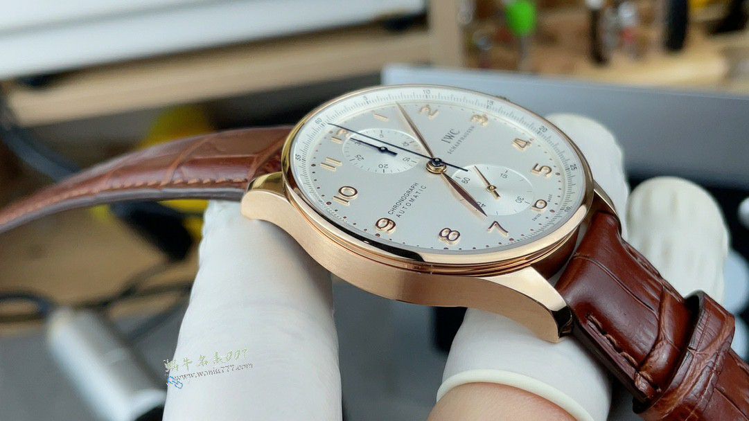 ZF Factory  IWC  Portugal  series   clone watch websiteIW371606 watches  / WG658