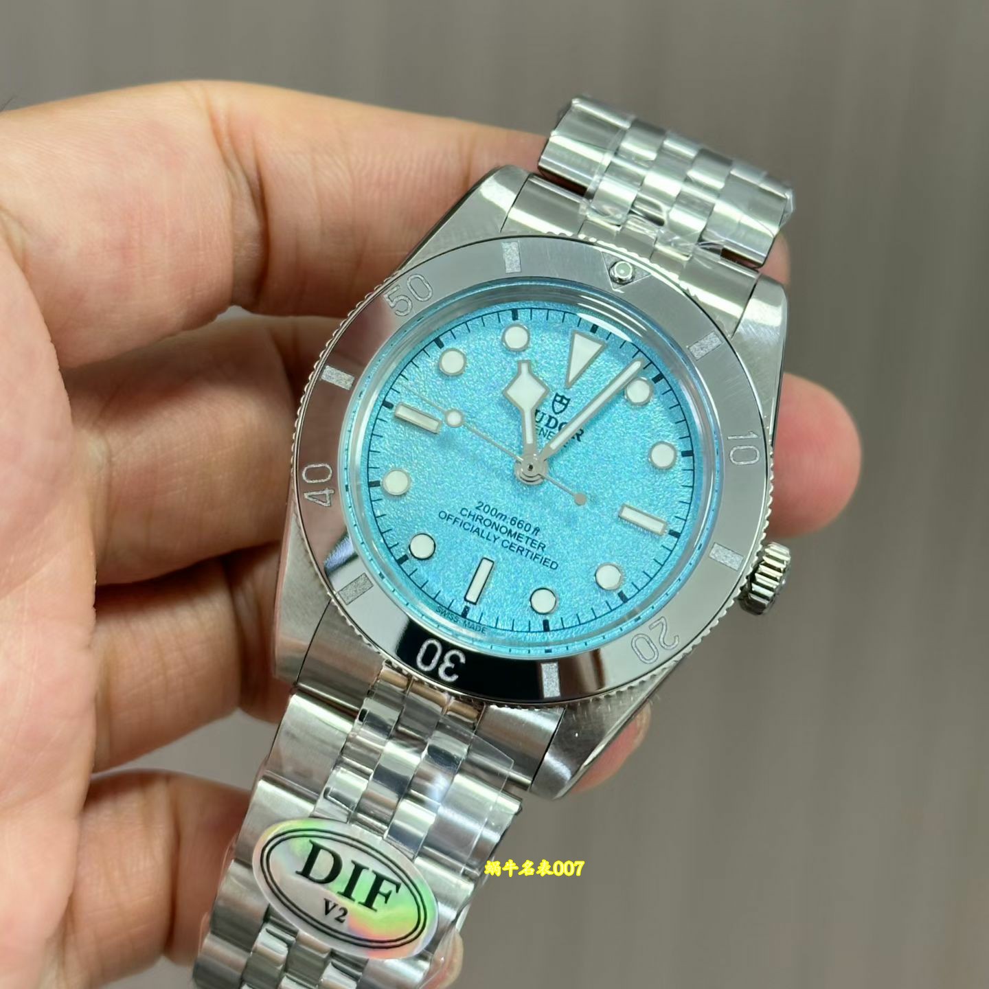 DIF 帝舵碧湾54 型Tudor  replica watch M79000-0001 高仿手錶腕表 /  