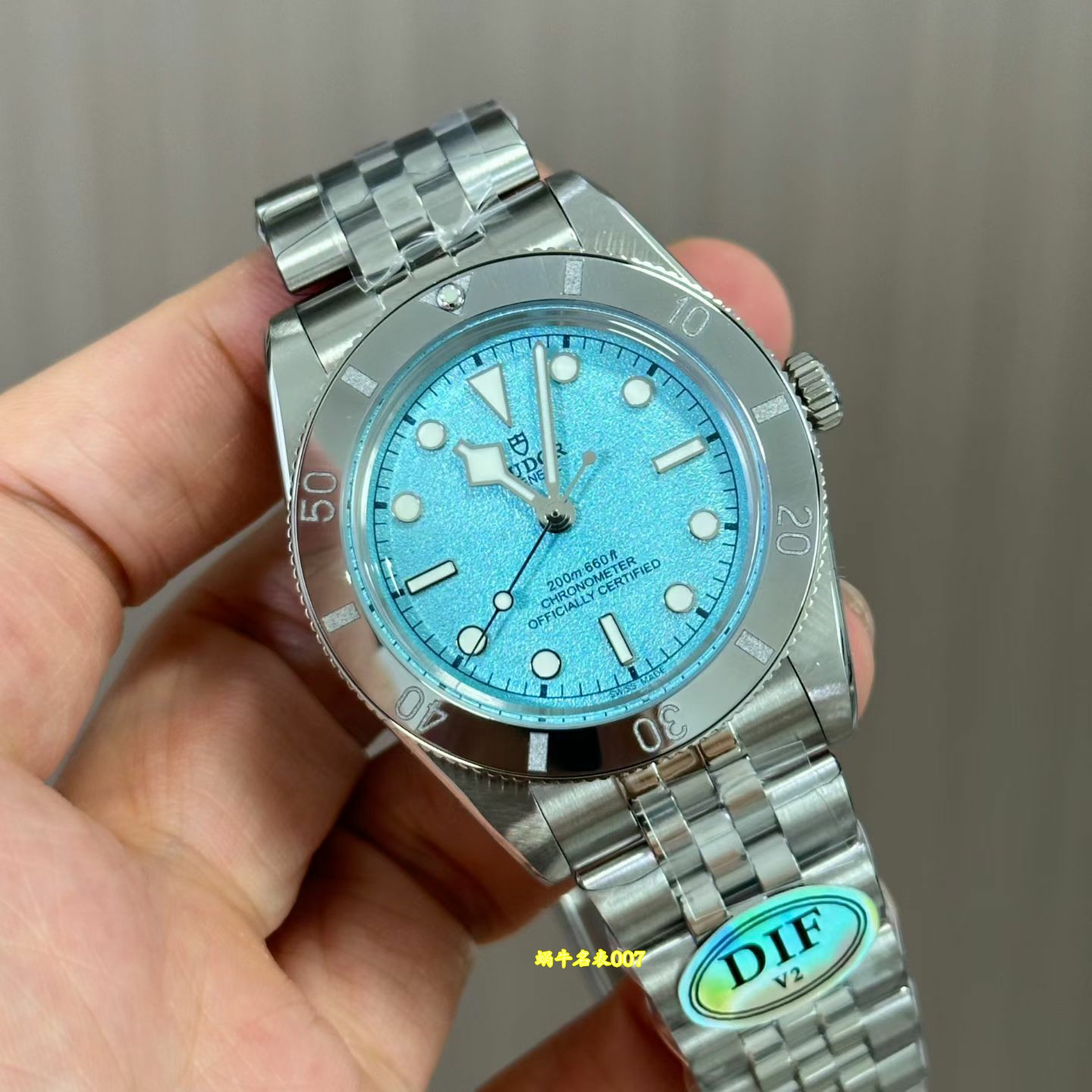 DIF 帝舵碧湾54 型Tudor  replica watch M79000-0001 高仿手錶腕表 /  