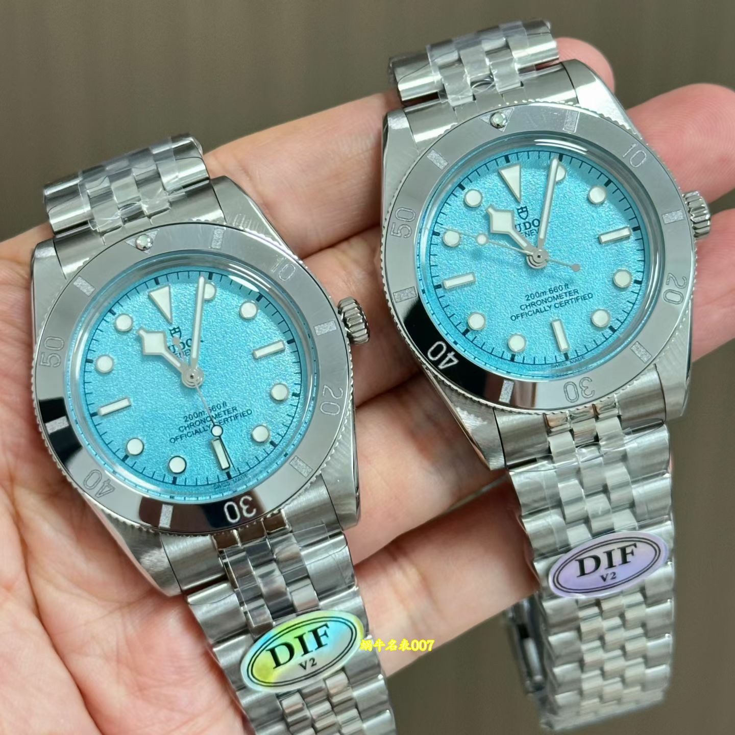 DIF 帝舵碧湾54 型Tudor  replica watch M79000-0001 高仿手錶腕表 /  