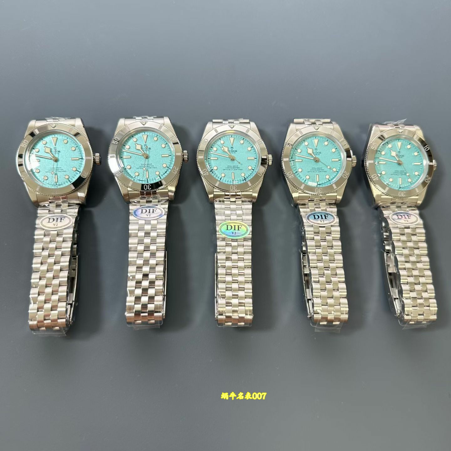 DIF 帝舵碧湾54 型Tudor  replica watch M79000-0001 高仿手錶腕表 /  